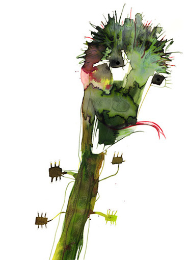 FRAU DROSERA